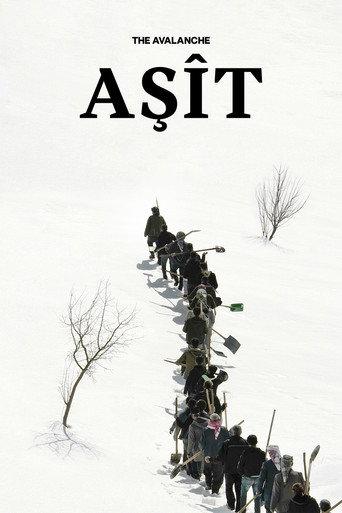 The Avalanche (2023) poster