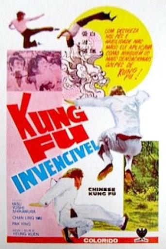 Chinese Kung Fu (1973) poster
