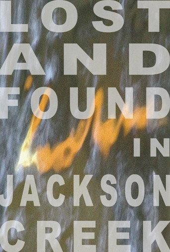 Lost and Found in Jackson Creek () poster