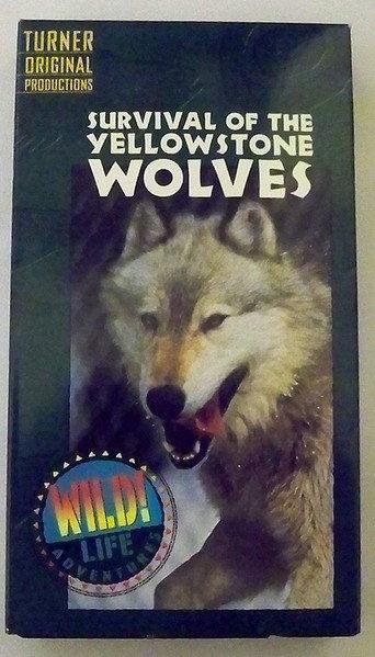 Survival of the Yellowstone Wolves (1996) poster