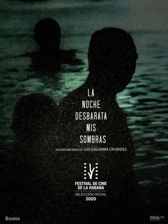 La Noche Desbarata mis Sombras (2020) poster