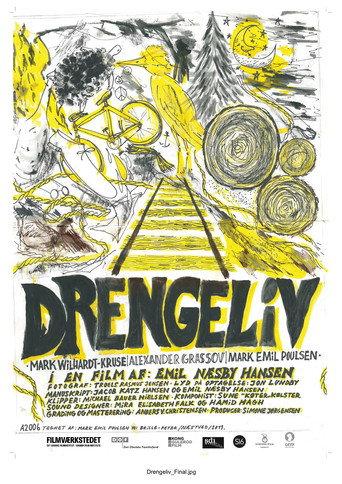 Drengeliv (2013) poster