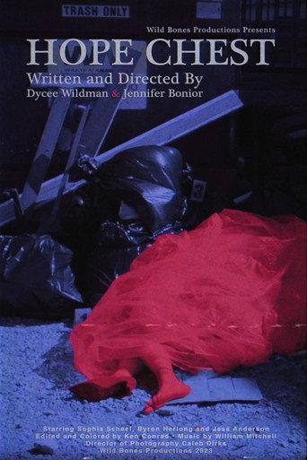 Hope Chest (2024) poster