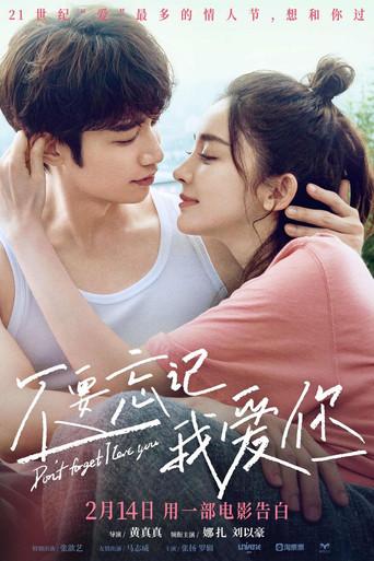 Don't Forget I Love You (2022) poster