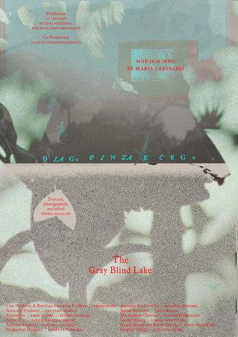 The Gray Blind Lake (2026) poster