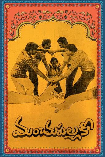 Manchu Pallaki (1982) poster