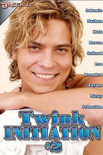 Twink Initiation 2 (2010) poster