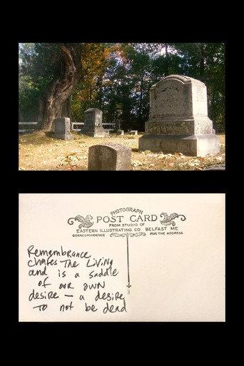 Postcard: Remembrance Chafes the Living (2020) poster