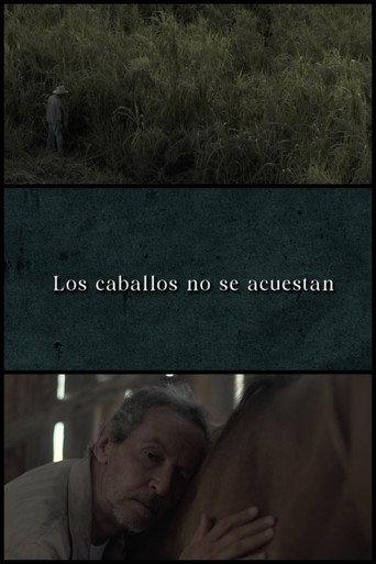 Horses Don’t Lie Down (2024) poster
