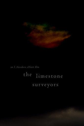 The Limestone Surveyors (2023) poster