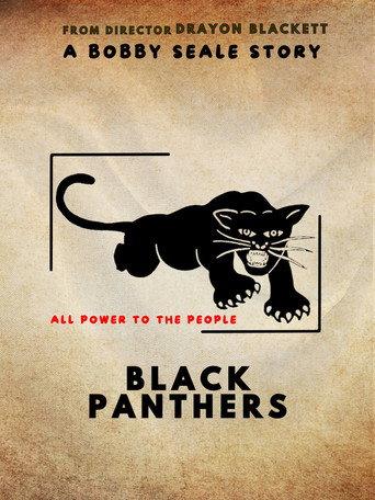 A Bobby Seale Story: Black Panthers () poster