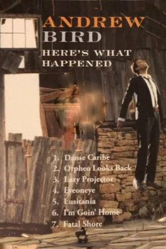 Andrew Bird: Here's What Happened (2012) poster