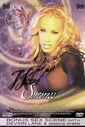 Wicked Sorceress (2004) poster