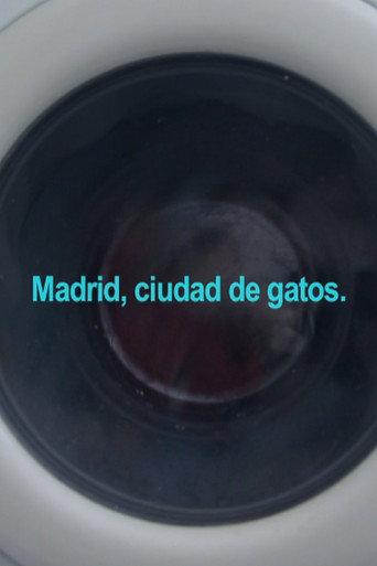 Madrid, City of Cats (2020) poster
