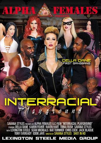Interracial Playground (2018) poster