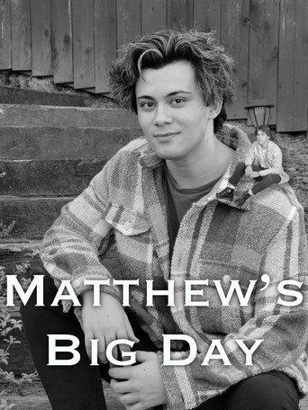 Matthew's Big Big Day () poster