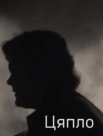 Warmth (2012) poster