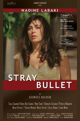 Stray Bullet (2010) poster