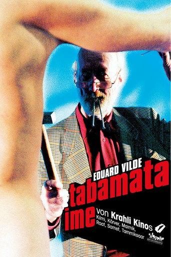 Uncaught Miracle (2006) poster