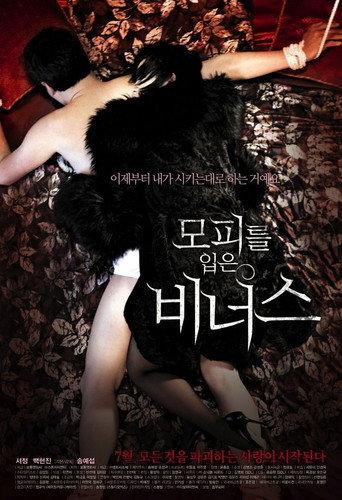 Venus in Furs (2012) poster