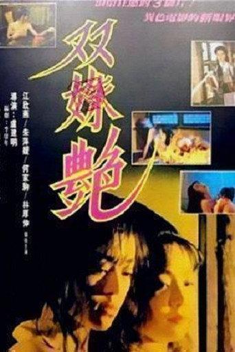 Two Girl's Faced (1995) poster