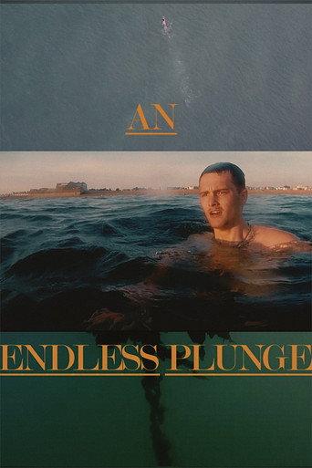 An Endless Plunge () poster