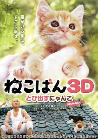 Nekoban: Cats in Your Life (2011) poster
