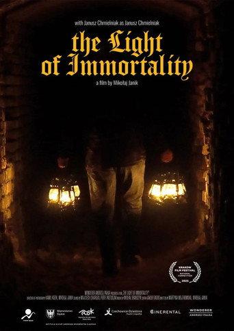 The Light of Immortality (2025) poster