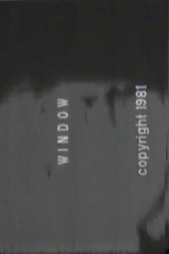 Window (1981) poster