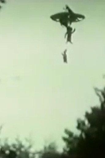 UFO Over the Village of Kljuch () poster