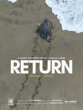 Return: Saving Turtles (2026) poster