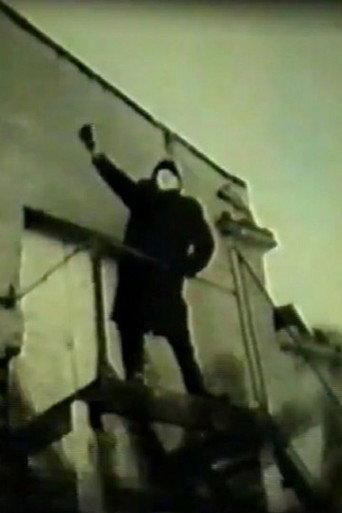Olf’s Supporters (1987) poster