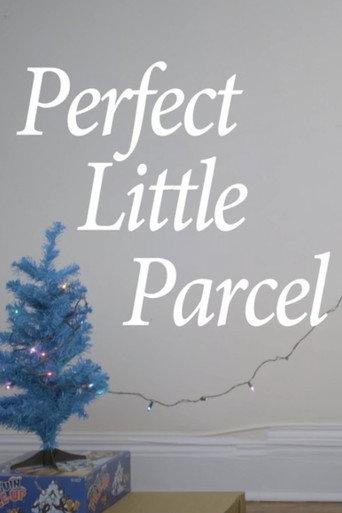 Perfect Little Parcel (2018) poster
