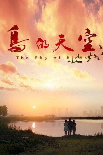 The Sky of Birds (2021) poster