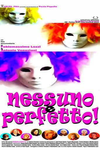 Nobody's Perfect! (2013) poster