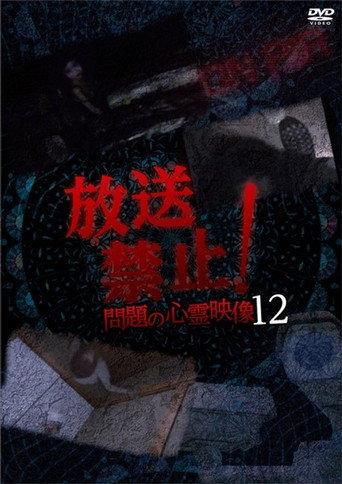 Broadcast Prohibited! Troubling Supernatural Footage 12 (2019) poster