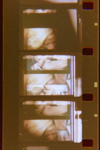 Frameline (2008) poster