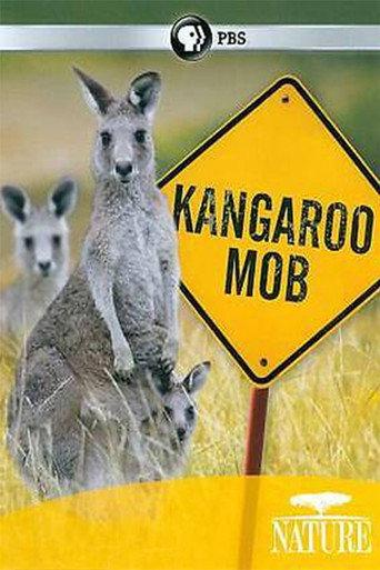 Kangaroo Mob (2011) poster