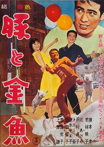 Pig and Goldfish (1962) poster