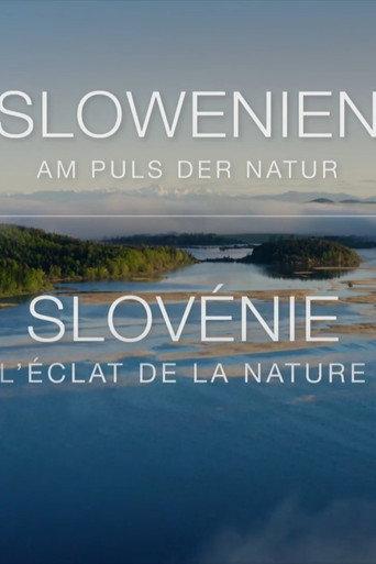 Slovenia - Where Nature Comes First (2022) poster