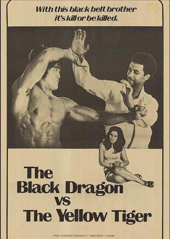 The Black Dragon vs. the Yellow Tiger (1974) poster