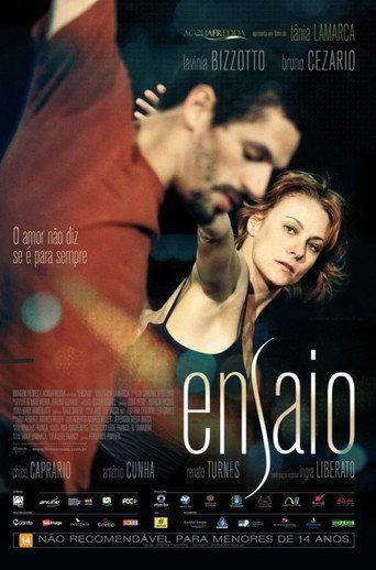 Ensaio (2013) poster