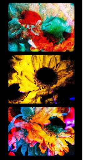 Flowers (II) (2025) poster