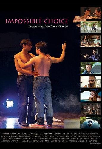 Impossible Choice (2012) poster