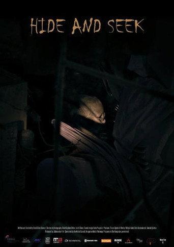 Hide and Seek (2016) poster