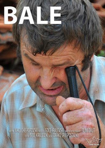 Bale (2014) poster