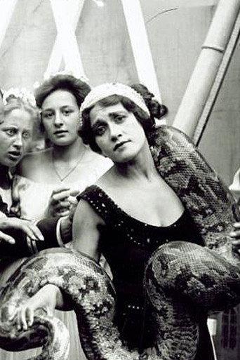 In a Den of Lions (1912) poster