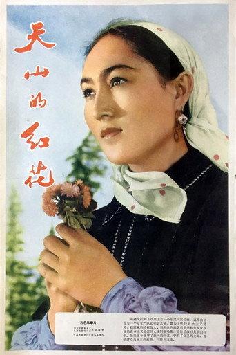 Safflower of Tianshan (1964) poster