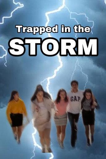 Trapped in the Storm (2019) poster