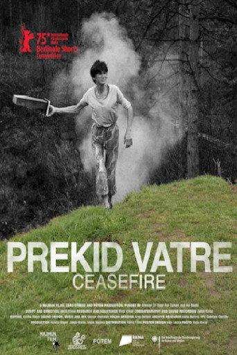 Ceasefire (2025) poster